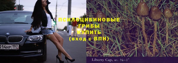 стафф Абдулино