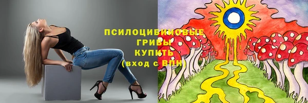 гидра Алексин